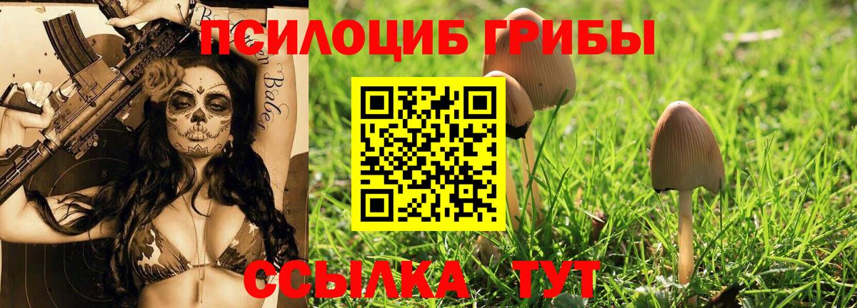 Псилоцибиновые грибы мицелий Сатка