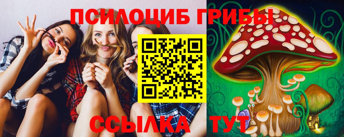 Сатка  Галлюциногенные грибы GOLDEN TEACHER  Вход с VPN 