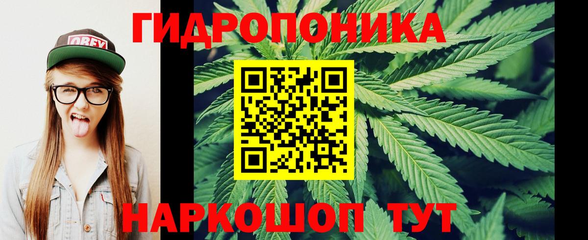 Марихуана сатива Сатка